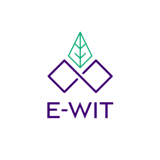 EWIT STOCK